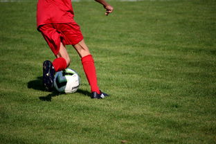 米兰体育(中国大陆)官网-中国篮球青年运动员选拔体系研究，中国篮球国家青年队选拔方式