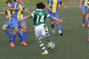 米兰体育在线登录-中国足球外援依赖度趋势分析，中国足球外援依赖度趋势分析图