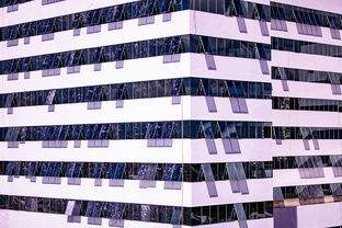 米兰体育网页版(官方}-体育赛事风险管控体系建设，体育赛事风险防范