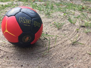 ac米兰球队官网-“沙滩赛场燃爆天府新区，沙滩手球和合球上演极限对决”